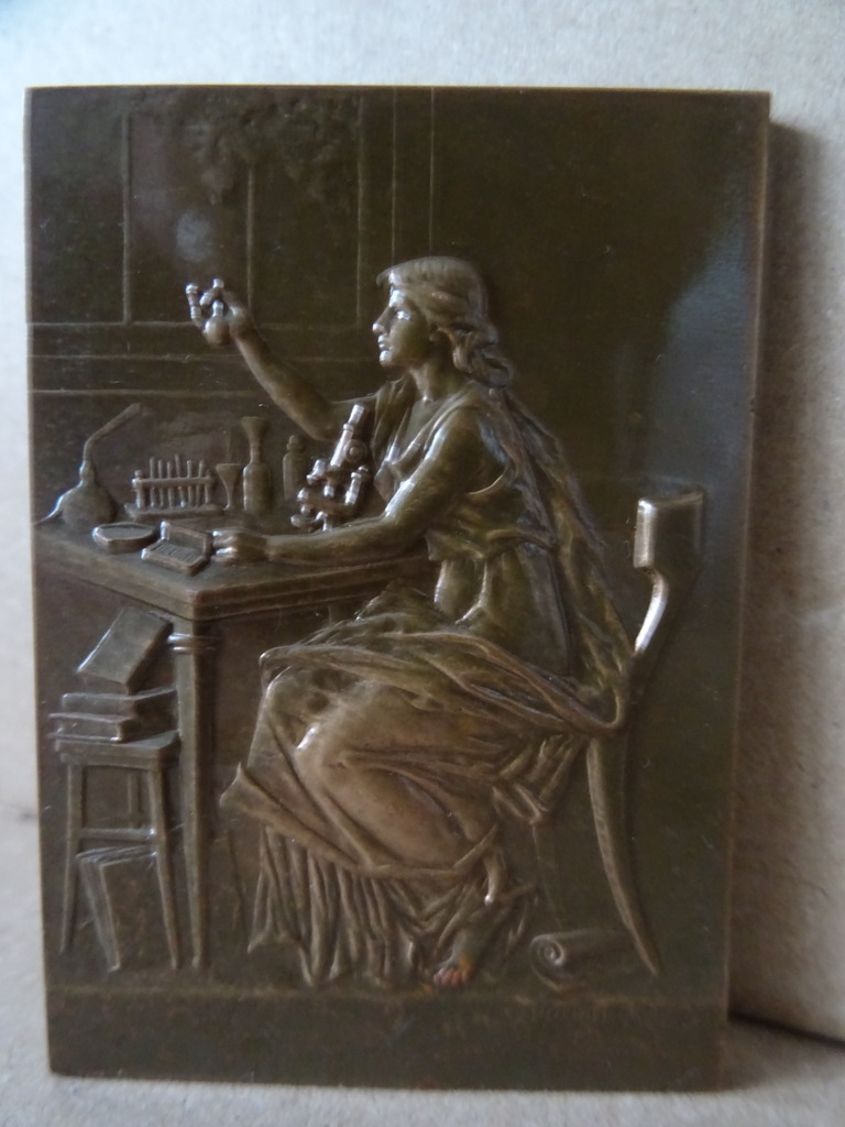 Art nouveau bronzen plaquette Louis Pasteur - Afbeelding 7
