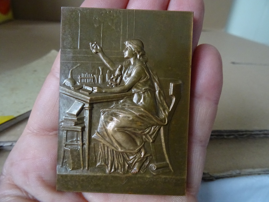Art nouveau bronzen plaquette Louis Pasteur - Afbeelding 9