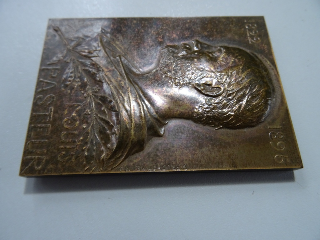 Art nouveau bronzen plaquette Louis Pasteur - Afbeelding 11