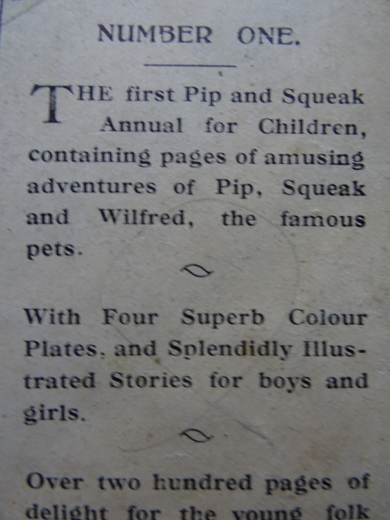 Antiek Engels kinderboek Pip & Squeak Annual 1923 - Afbeelding 25