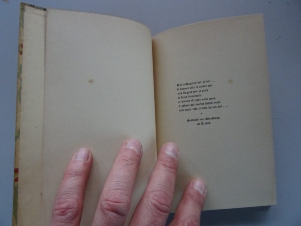 Hans Naumann Die Minnefingern in bildern der Maneffichen Handschrift - Afbeelding 10