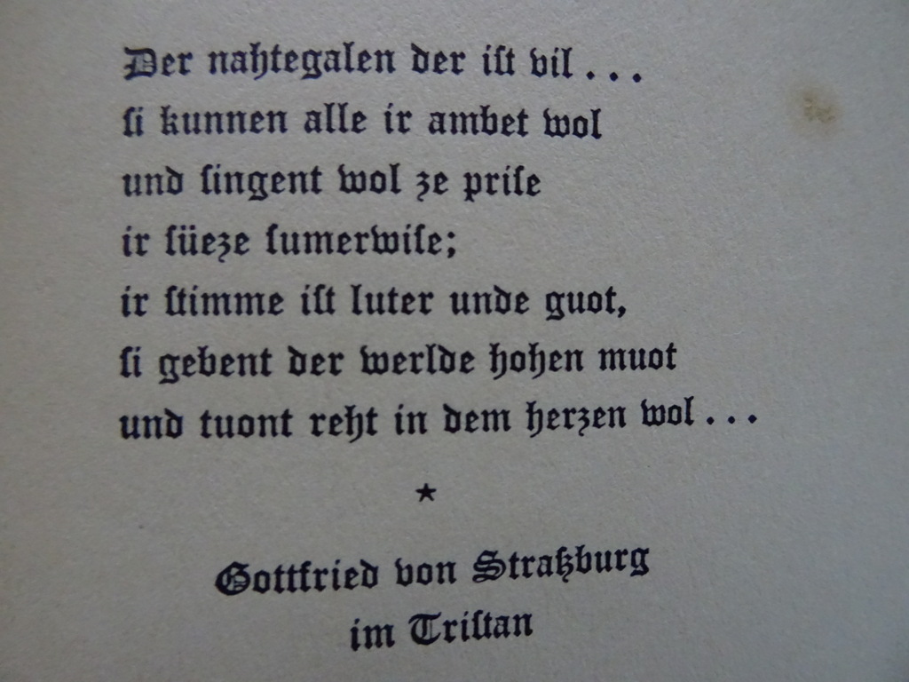 Hans Naumann Die Minnefingern in bildern der Maneffichen Handschrift - Afbeelding 11
