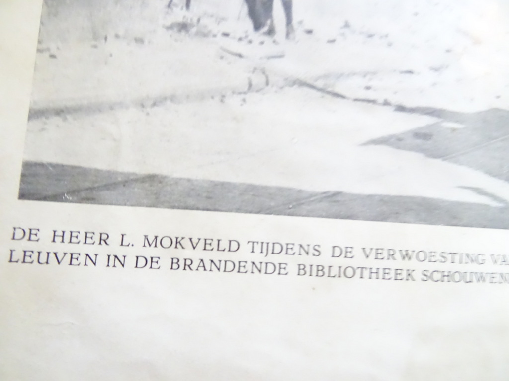 L. Mokveld De overweldiging van België - Afbeelding 10