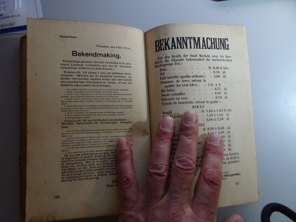 L. Mokveld De overweldiging van België - Afbeelding 26