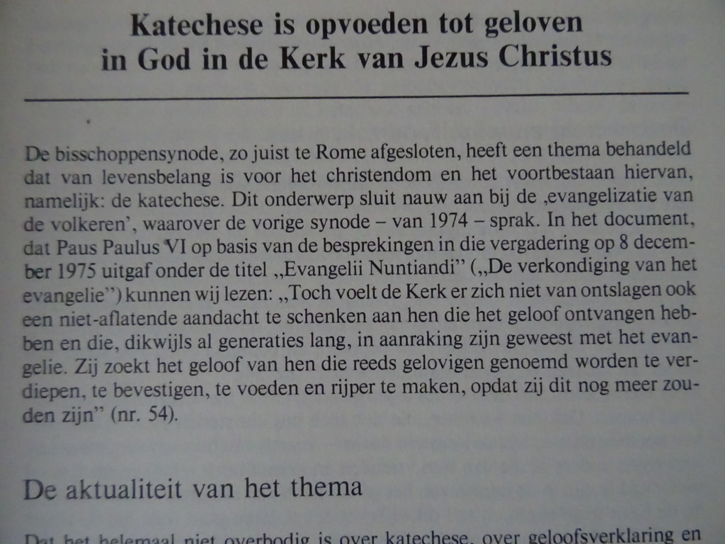 Dr. J.M. Gijsen Katechese is opvoeden tot geloven in God - Afbeelding 7
