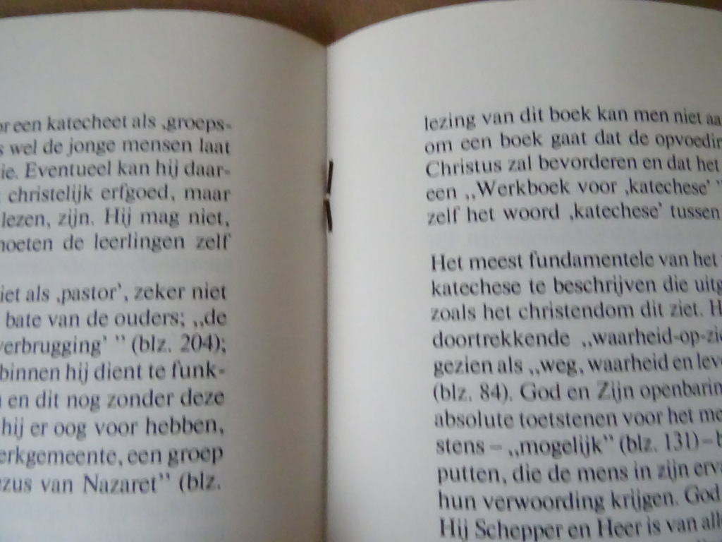 Dr. J.M. Gijsen Katechese is opvoeden tot geloven in God - Afbeelding 18