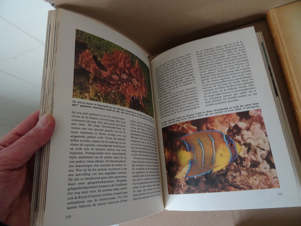 Collectie boeken Wonderen der natuur o.a. Walt Disney Collectie boeken Wonderen der natuur o.a. Walt Disney