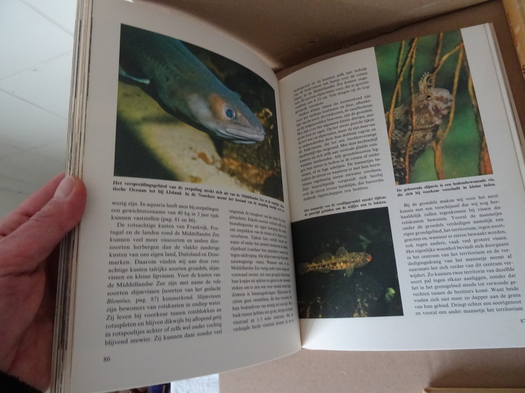 Collectie boeken Wonderen der natuur o.a. Walt Disney Collectie boeken Wonderen der natuur o.a. Walt Disney