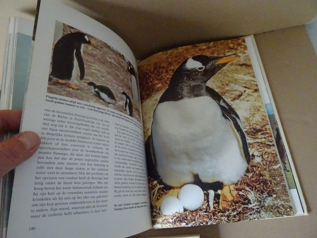 Collectie boeken Wonderen der natuur o.a. Walt Disney Collectie boeken Wonderen der natuur o.a. Walt Disney