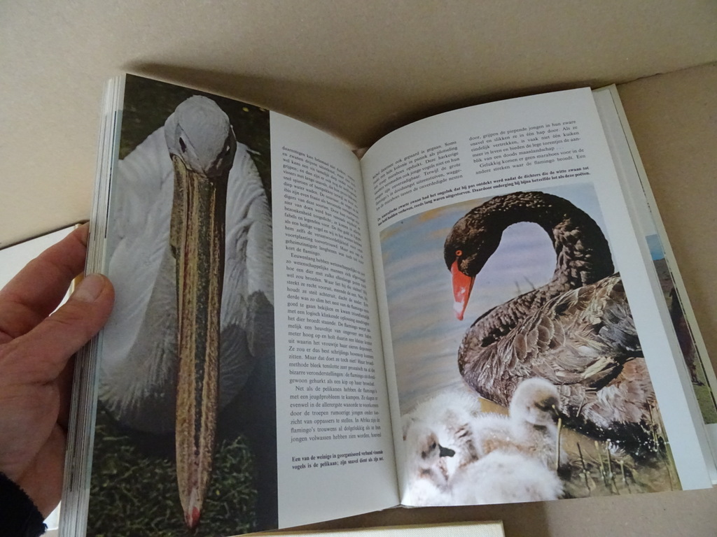 Collectie boeken Wonderen der natuur o.a. Walt Disney Collectie boeken Wonderen der natuur o.a. Walt Disney