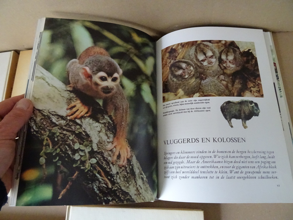 Collectie boeken Wonderen der natuur o.a. Walt Disney Collectie boeken Wonderen der natuur o.a. Walt Disney
