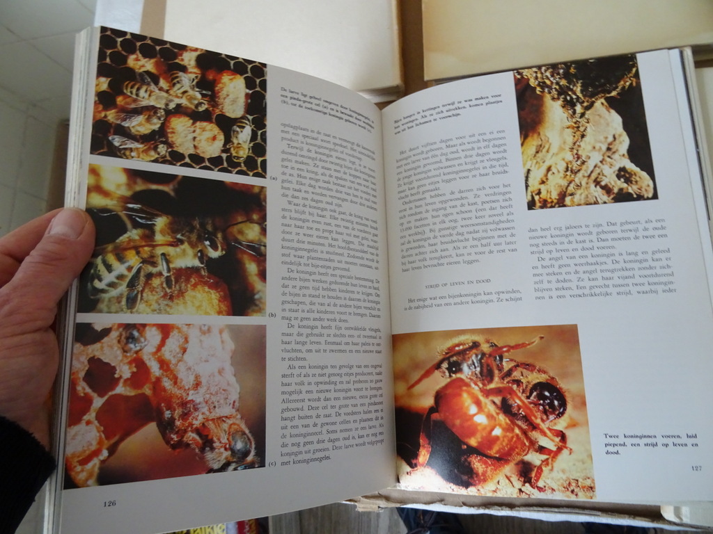 Collectie boeken Wonderen der natuur o.a. Walt Disney Collectie boeken Wonderen der natuur o.a. Walt Disney