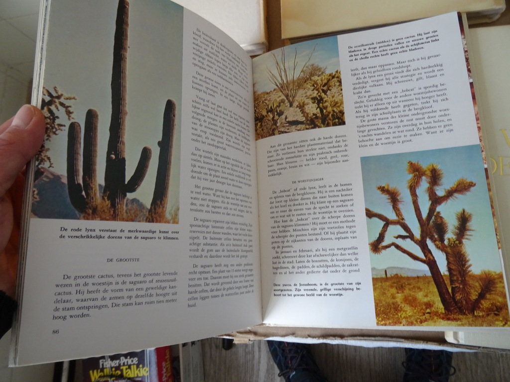 Collectie boeken Wonderen der natuur o.a. Walt Disney Collectie boeken Wonderen der natuur o.a. Walt Disney