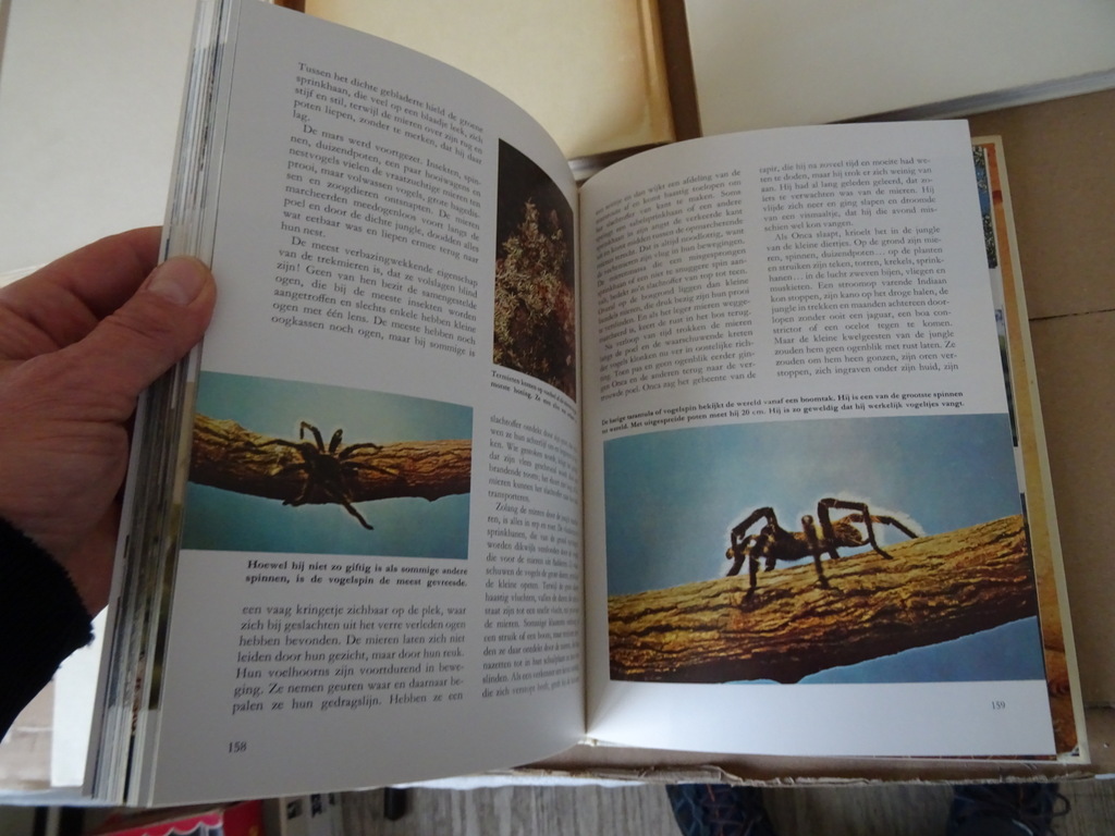 Collectie boeken Wonderen der natuur o.a. Walt Disney Collectie boeken Wonderen der natuur o.a. Walt Disney