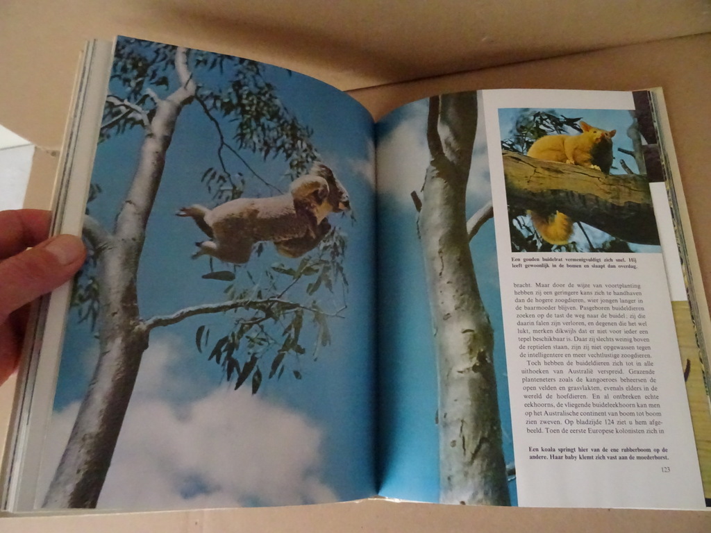 Collectie boeken Wonderen der natuur o.a. Walt Disney Collectie boeken Wonderen der natuur o.a. Walt Disney