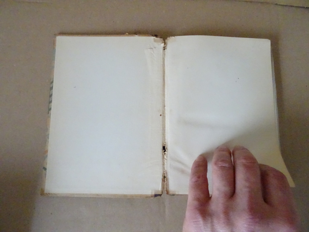 Bernhard Kellermann Sassa yo Yassa Japanische tänze prentenboek - Afbeelding 4