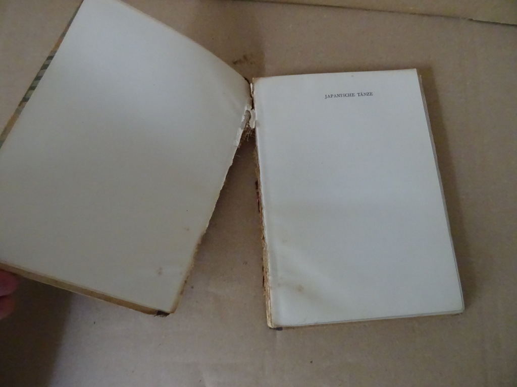 Bernhard Kellermann Sassa yo Yassa Japanische tänze prentenboek - Afbeelding 5