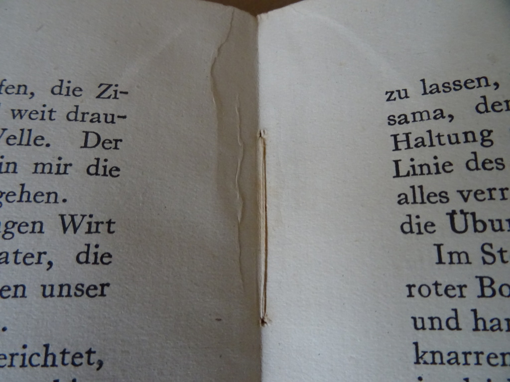 Bernhard Kellermann Sassa yo Yassa Japanische tänze prentenboek - Afbeelding 18