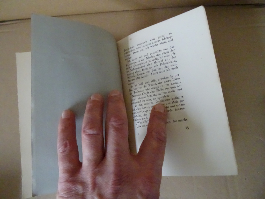 Bernhard Kellermann Sassa yo Yassa Japanische tänze prentenboek - Afbeelding 26