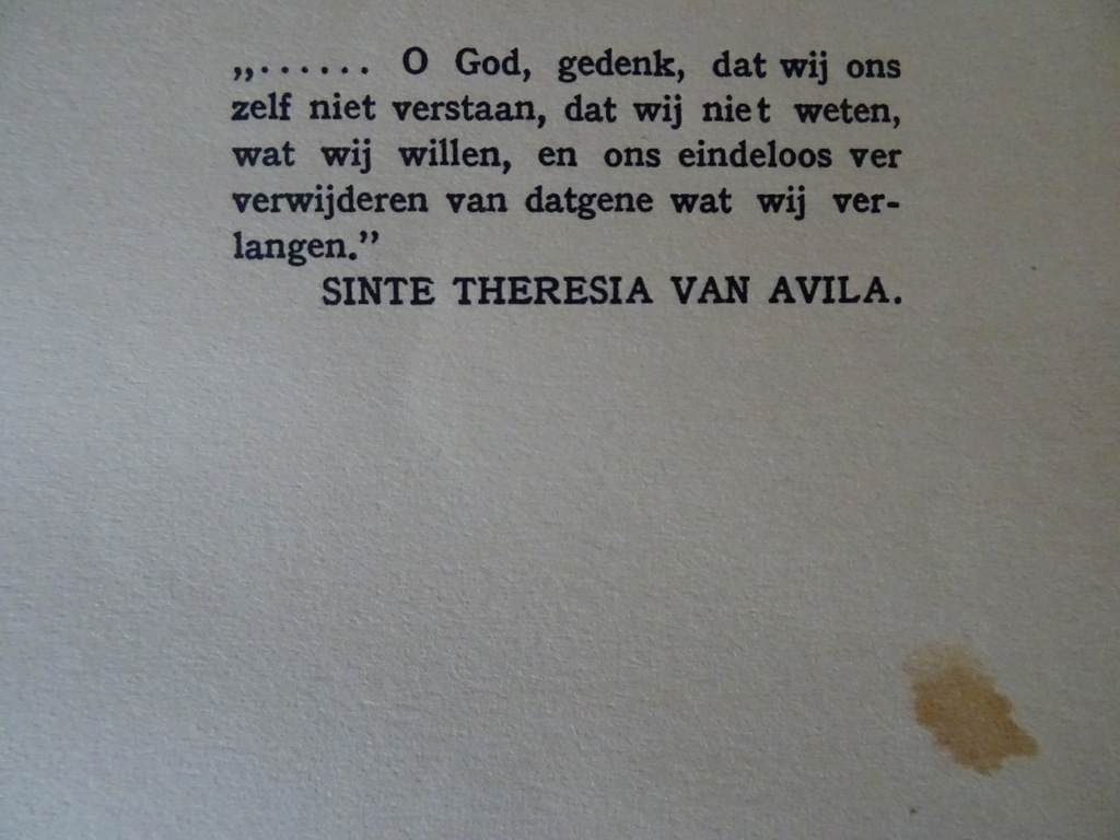 F. Mauriac De adderkluwen - Afbeelding 10