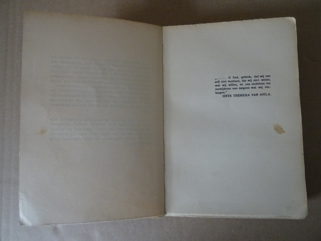 F. Mauriac De adderkluwen - Afbeelding 11