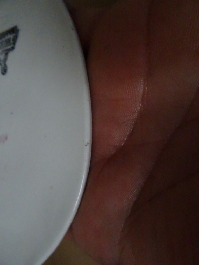 Antiek wijwaterbakje Petrus Regout & Co 19cm - Afbeelding 15