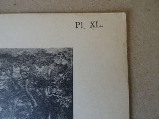 Nederlandsche schilders in Italië in de XVIe eeuw 1912