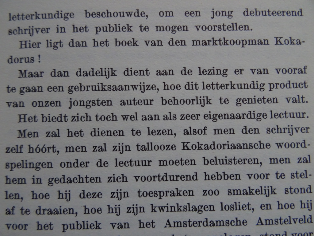 Kokadorus Op het Amstelveld - Afbeelding 13