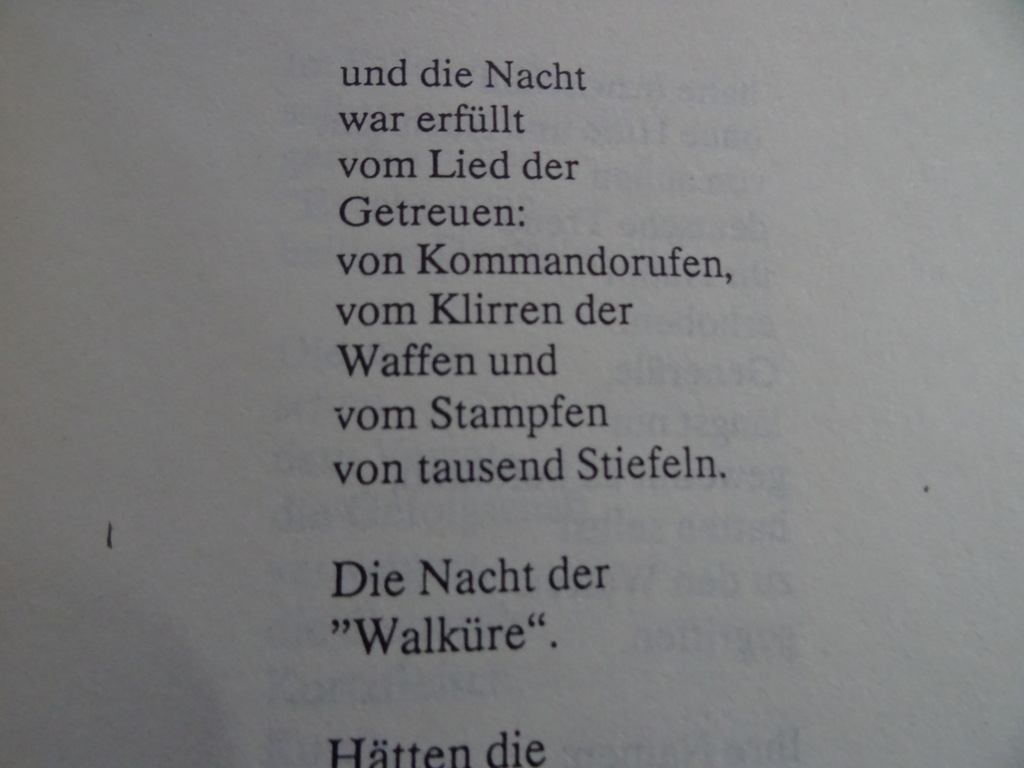 Gerd Honsik Der blumenkrieg - Afbeelding 15