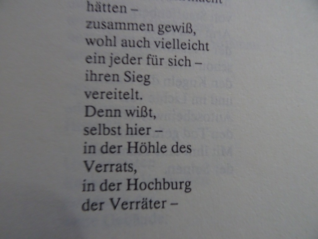 Gerd Honsik Der blumenkrieg - Afbeelding 16