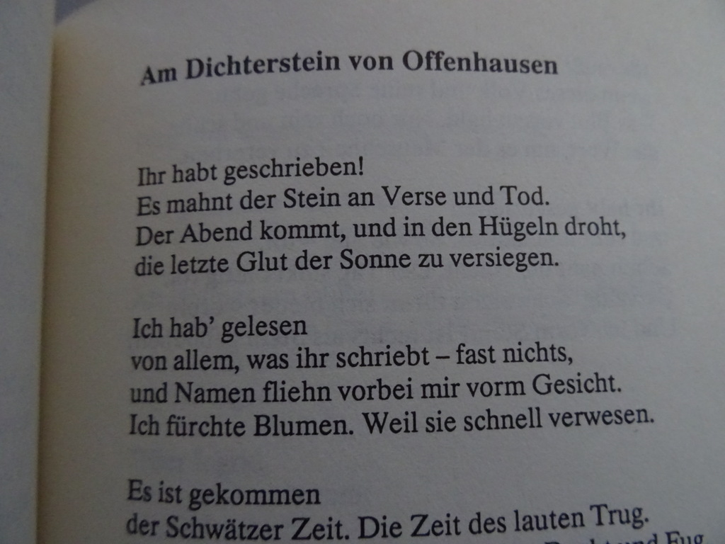 Gerd Honsik Der blumenkrieg - Afbeelding 18