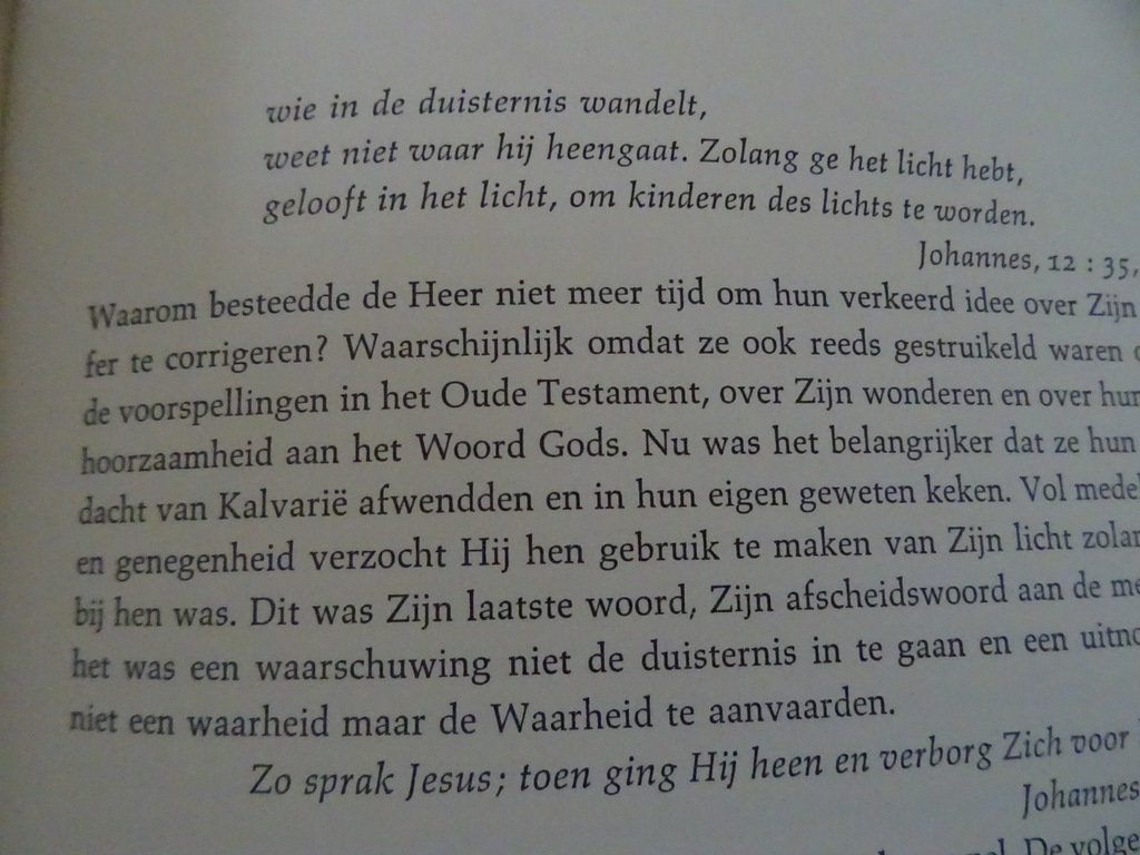 Fulton Sheen Christus - Afbeelding 23
