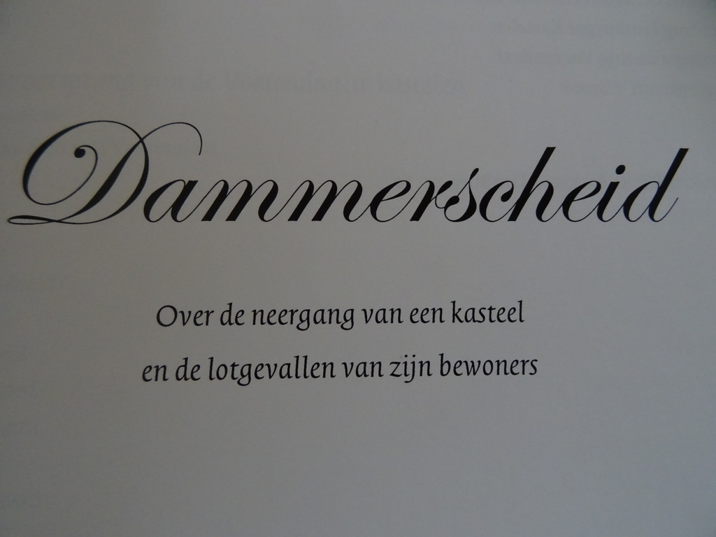 Frans Gerards Dammerscheid - Afbeelding 9