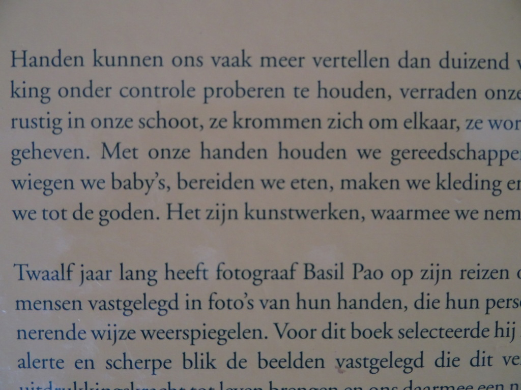 Basil Pao Handen een reis om de wereld - Afbeelding 21