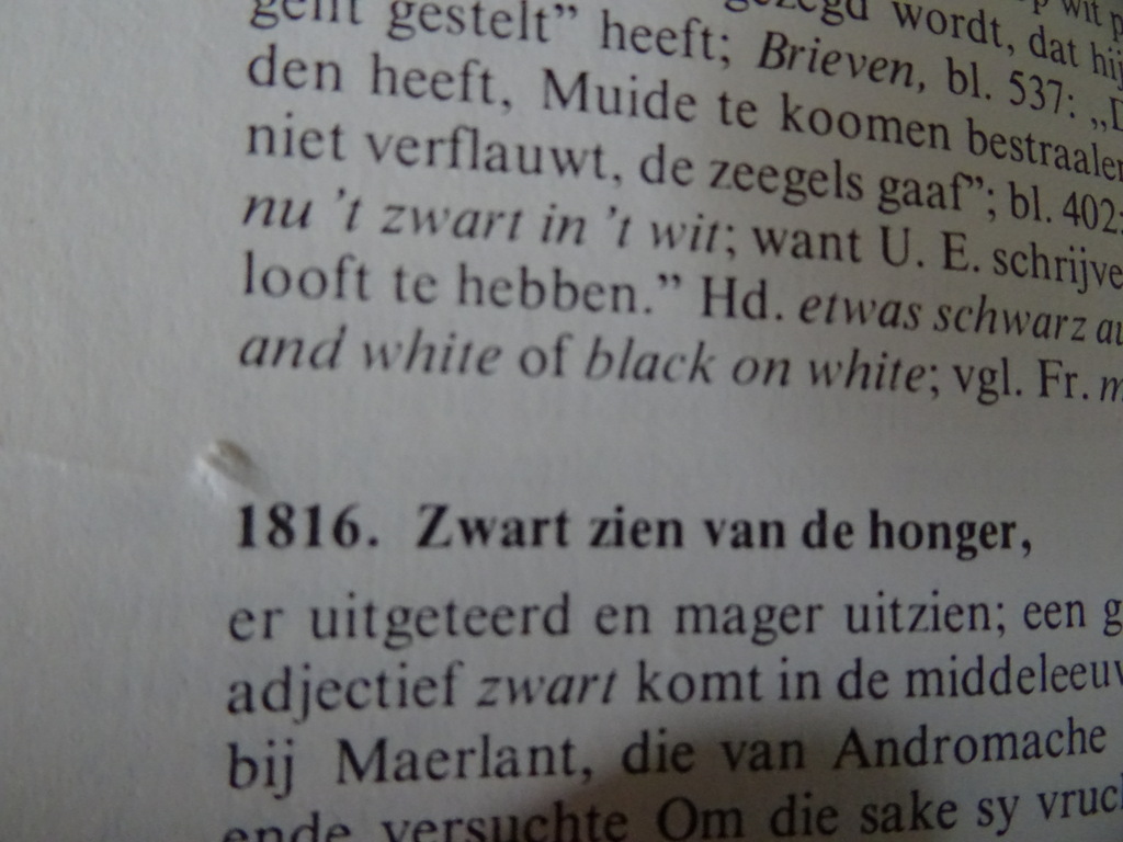Dr. F. A. Stoett Nederlandse spreekwoorden en gezegden - Afbeelding 24