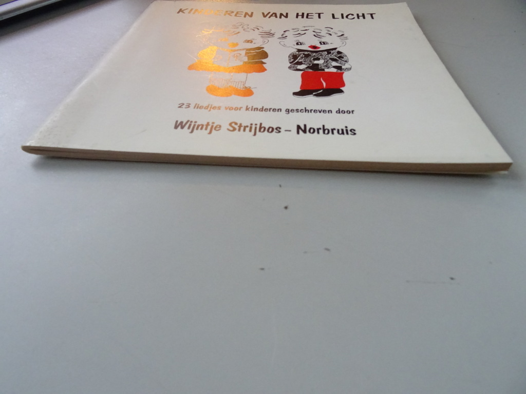Wijntje Strijbos-Norbruis Kinderen van het licht 23 liedjes - Afbeelding 23
