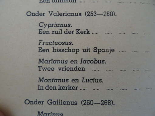 M. F. Schurmans S. J. Bloedgetuigen van Christus