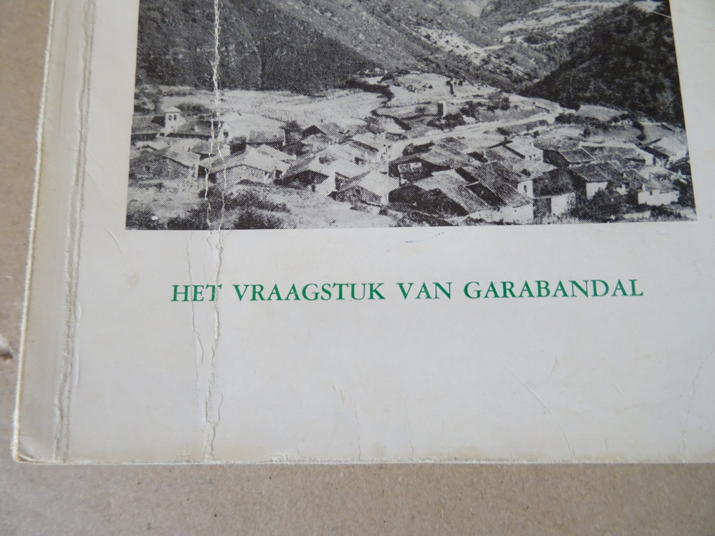 F. Sanchez-Ventura Y Pascual Verscheen de H. Maagd te Garabandal? - Afbeelding 2