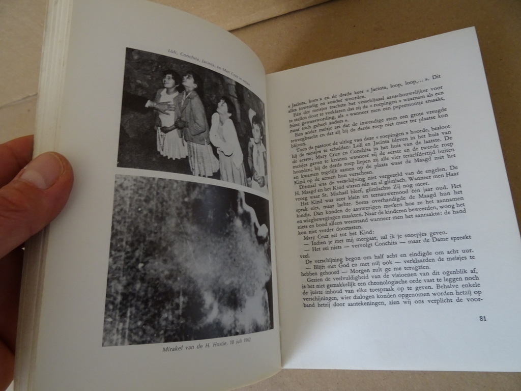 F. Sanchez-Ventura Y Pascual Verscheen de H. Maagd te Garabandal? - Afbeelding 15