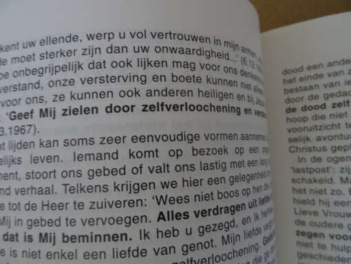 Tijdschrift van Het legioen kleine zielen