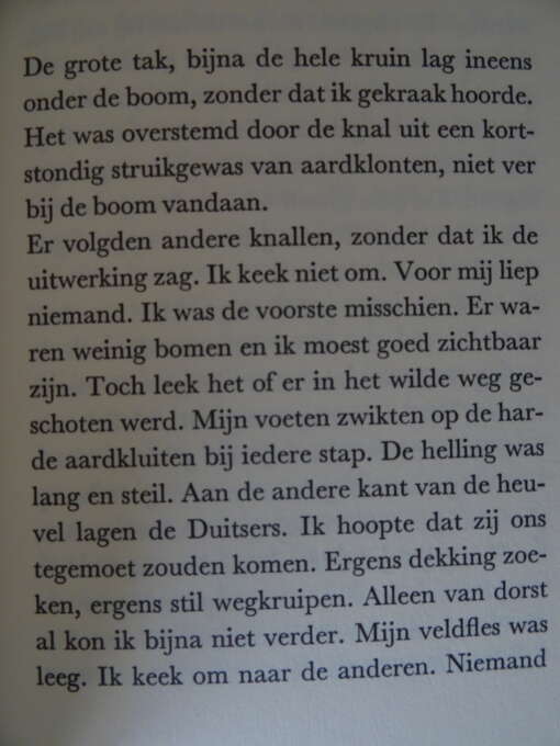 Willem Frederik Hermans Het behouden huis