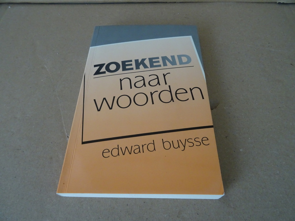 Edward Buysse Zoekend naar woorden - Afbeelding 2