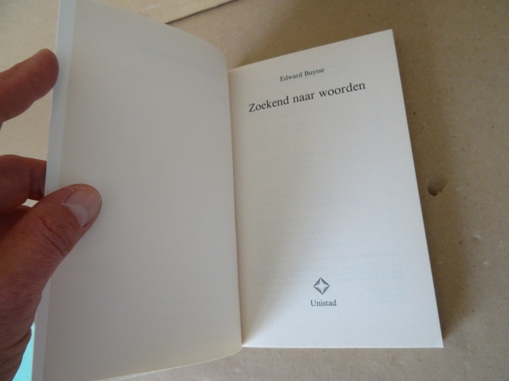 Edward Buysse Zoekend naar woorden - Afbeelding 5