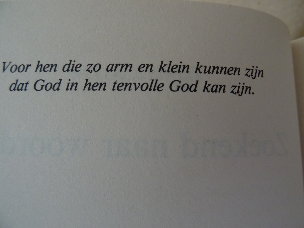 Edward Buysse Zoekend naar woorden - Afbeelding 7