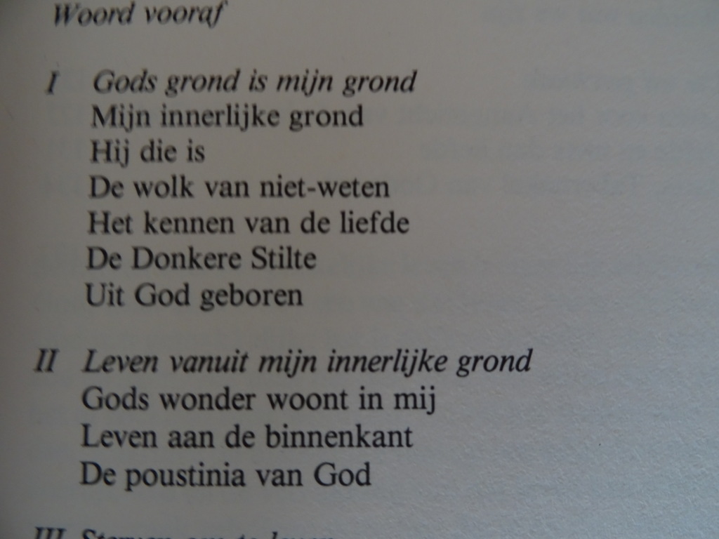 Edward Buysse Zoekend naar woorden - Afbeelding 9