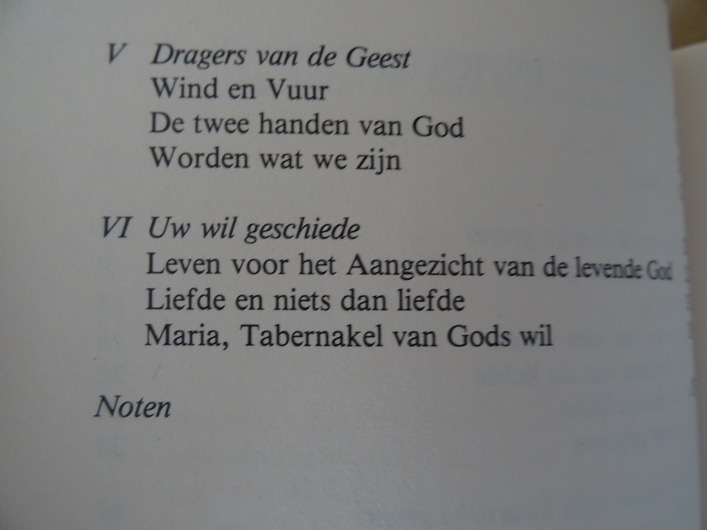 Edward Buysse Zoekend naar woorden - Afbeelding 11
