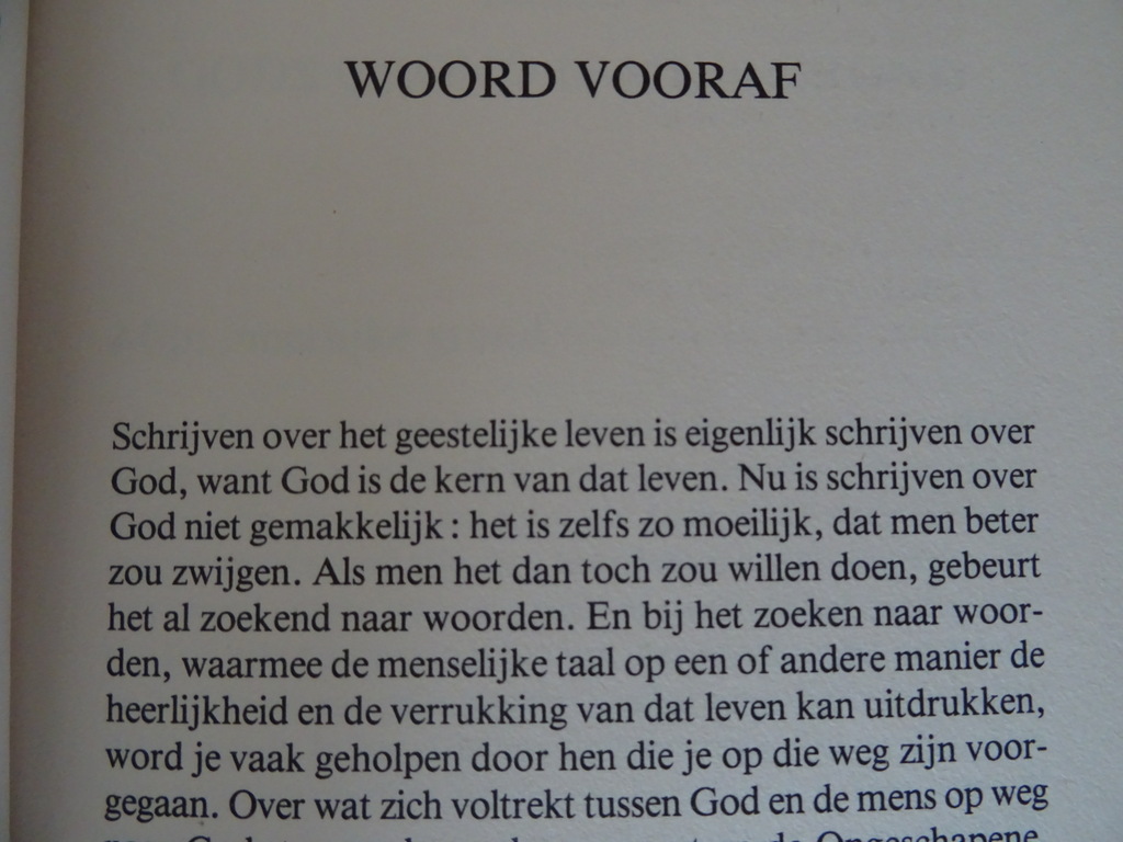 Edward Buysse Zoekend naar woorden - Afbeelding 12