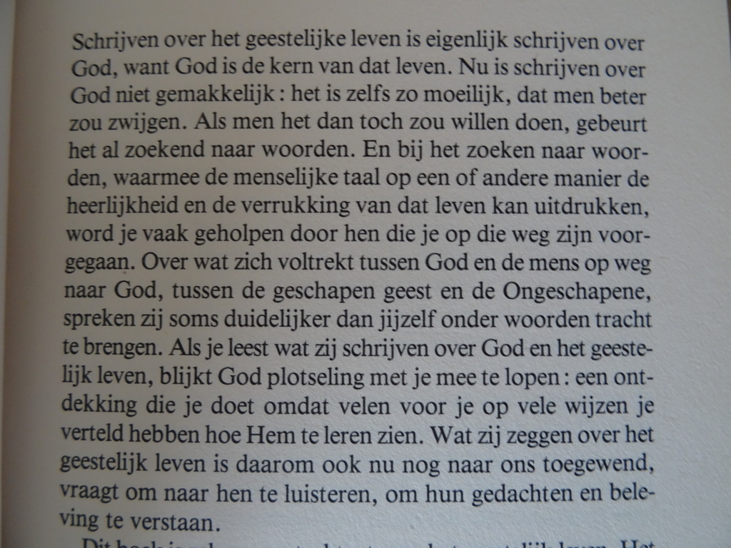 Edward Buysse Zoekend naar woorden - Afbeelding 13