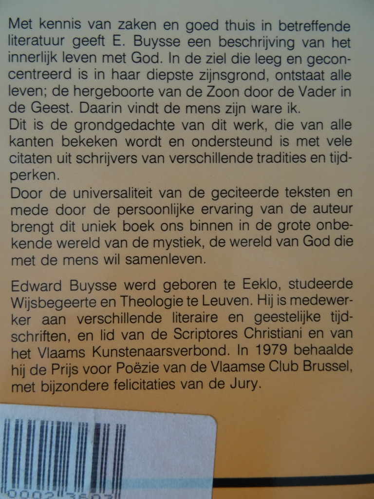 Edward Buysse Zoekend naar woorden - Afbeelding 20