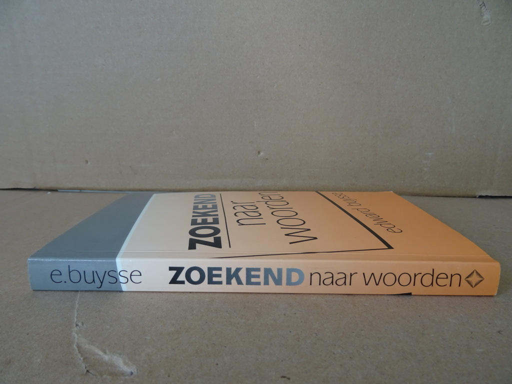 Edward Buysse Zoekend naar woorden - Afbeelding 25